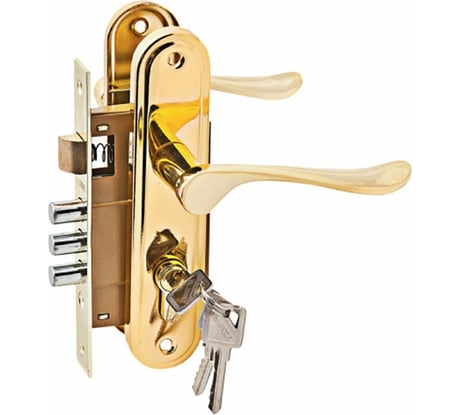 Комплект врезного замка с ручками и цилиндром PALIDORE LH 7036-891 PB, золото 98760056