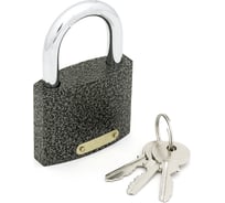 Навесной замок СКОБЯНОЙ 01-50 008842