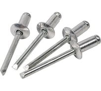 Заклёпка Петрович алюминиевая, 4,0х25 мм, 50 шт. П074-425 4100001538