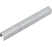 Скобы для скобозабивного пистолета УправДом тип 140, 12 мм/5000 шт.15353 4100001708