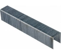 Скобы для скобозабивного пистолета УправДом тип 53, 14 мм/5000 шт.153534 4100001728