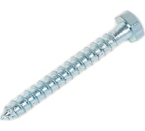 Шестигранный шуруп STARFIX 6x50 мм, цинк, DIN 571, 10 шт. SMZ1-59721-10