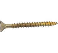 Универсальный шуруп STARFIX 6,0x60 мм, желтый цинк, 10 шт. SMZ1-45440-10