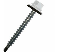 Кровельный саморез STARFIX 5,5x19 мм, цинк, шайба с прокладкой, PT3, RAL 9003, 300 шт. SMC3-50395-300