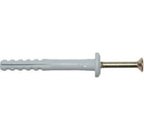 Дюбель-гвоздь Росдюбель 6x40 гриб, 100 шт. 10-0160