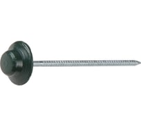 Кровельные гвозди STARFIX 2,5x70 мм, круглые, зеленые, 100 шт. SM-24840-100