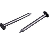 Толевые гвозди STARFIX 2,5x40 мм, ГОСТ 4029-63, 0,2 кг SMP1-77498-02