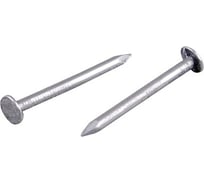 Толевые гвозди STARFIX 2,0x25 мм, цинк, ГОСТ 4029-63, 1 кг SMP4-42580-1