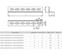Перфорированный профиль EKF L-образный 50x50x2000 мм, 2 мм ppl5050-2-2-INOX