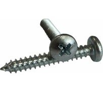 Саморез ZAMETAL 6,3x25 с полукруглой головкой, крестовой шлиц, DIN 7981, цинк, 200 шт. ZA100381