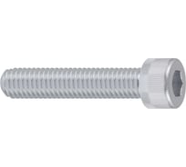 Винт FastenPro DIN 912 высокопрочный M10x30 (4 шт) 14-0020592