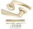 Дверная ручка Palladium A Swim SG 00011356 2
