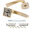Дверная ручка Palladium Alta GP СТ-00000609 2