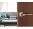 Дверная ручка Palladium Alta GP СТ-00000609 3