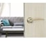Дверная ручка Palladium Asolo SG/CP 00009388 4