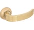Дверная ручка Palladium Dorico SG СТ-00000594 1