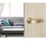 Дверная ручка Palladium Dorico SG СТ-00000594 4