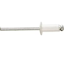Заклепки Спец 4x10 RAL 9003 белый сигнальный, 50 шт., блистер СПЕЦ-3520