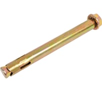 Анкерный болт с гайкой МЕТАЛЛСЕРВИС М20x200 1 шт. 1227278