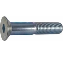 Винт ЦКИ DIN 7991 М6x40 8.8 Ц., HEX 4.0 50 шт. 28645