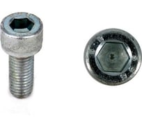 Винт ЦКИ DIN 912 М5x16 10.9 Ц., HEX 4.0 100 шт. 29121