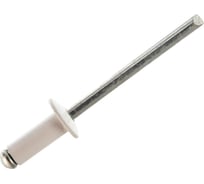 Заклепки Спец 3,2x8 RAL9003 белый сигнальный, 50 шт. блистер СПЕЦ-3515