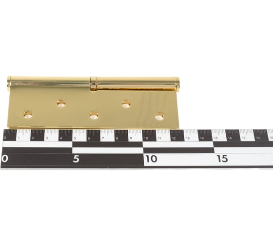 Дверная петля Palladium N 613-S-5" PB правая 00010989