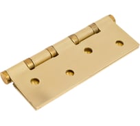 Универсальная дверная петля Palladium N 4BB-100 (2mm) SB 00010893