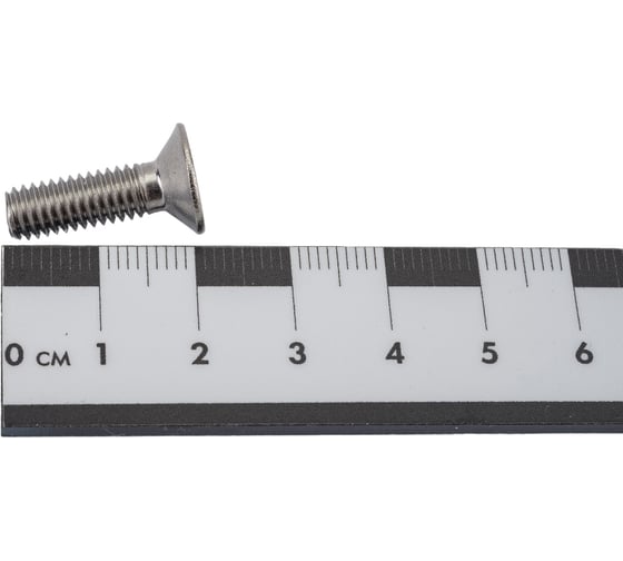 Винт DINFIX 7991, а2 нерж., 6x20, 10 шт. 00-00002830