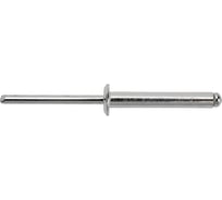 Тяговая заклепка ЦКИ Ал-Mg2.5/Ст, плоская, 4.8x30 REX 200 шт. 53173