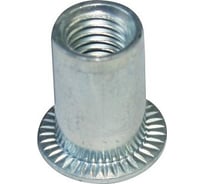 Заклепка-гайка ЦКИ М8, плоская, сталь Ц, BRALO 25 шт. 6953