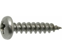 Универсальный саморез ЦКИ скругленный, 5x90, цинк, Pz2, 250 шт. 18964