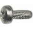 Резьбонарезающий винт ЦКИ DIN 7516A, М5x10, Ц, Ph2, 200 шт. 25258 1