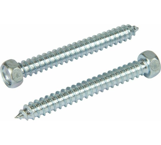 Саморез ЦКИ DIN 7976, 5.5x16, остроконечный, Ц, SW8, 100 шт. 25397 1