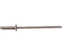 Тяговая заклепка ЦКИ A2/A2, плоская, 2.4x8 REX 100 шт. 45353