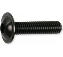 Винт с фланцем ЦКИ ISO7380-2 М6x8 10.9 окс., 100 шт. 48227