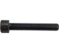 Винт ЦКИ DIN 912 М10x60 полная резьба 12.9 оксидированный, HEX8 10 шт. 54797