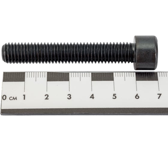 Винт ЦКИ DIN 912 М10x60 полная резьба 12.9 оксидированный, HEX8 10 шт. 54797