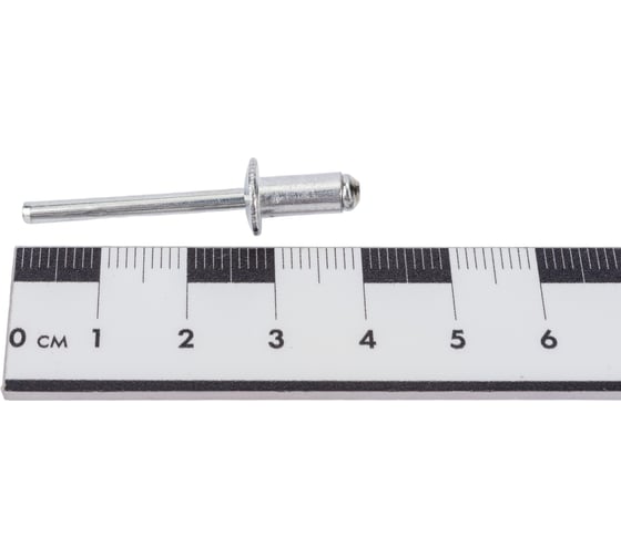 Заклепки Спец 4,8x10 мм, 50 шт., пэ пакет СПЕЦ-3528