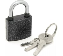 Навесной замок Palladium 303F-30 00009263