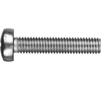 Винт с полукруглой головкой EKF М6x10, DIN 7985, TDZ, упак. 200 шт. wm6x10-TDZ