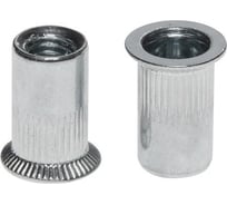 Резьбовая заклепка STARFIX М10 потайной бортик, цинк, 100 шт. SMC1-61108-100