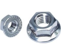 Гайка с фланцем STARFIX М6 цинк, класс прочности 6.0, DIN 6923, 7700 шт. SM-66041-7700