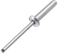 Вытяжная заклепка BEFAST DIN 7337, алюминий сталь, 4,8x10, 250 шт. ZK4810250S