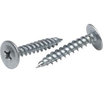 Саморез с пресс-шайбой BEFAST 4,2x57 острый наконечник, цинк, 1 кг C100571S