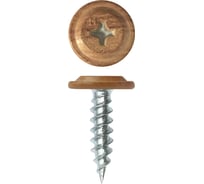 Саморез Daxmer пш м 4,2x13 1000 шт., сосна 346276