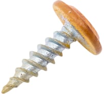 Саморез Daxmer пш м 4,2x16 500 шт., золотой дуб 346355