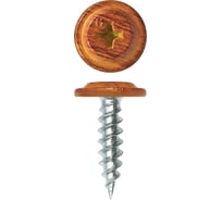 Саморез Daxmer пш м 4,2x13 1000 шт., орех 346333