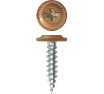 Саморез Daxmer пш м 4,2x19 500 шт., сосна 346361