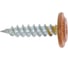 Саморез Daxmer пш м 4,2x19 500 шт., орех 346360 3